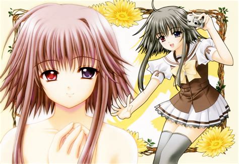 Mayumi Thyme Shuffle Wallpaper By Suzuhira Hiro 60887 Zerochan