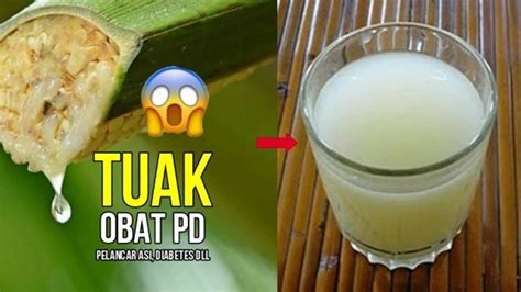 10 Most Well-Known Traditional Alcoholic Drinks from Indonesia ...
