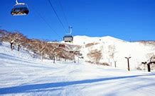 Value Up Niseko Road To