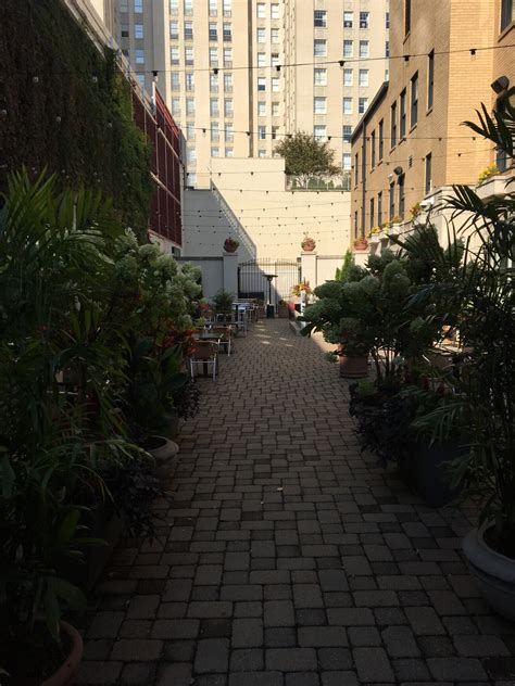 Edera Italian Eatery joins CWE’s restaurant scene – Nicki's Central