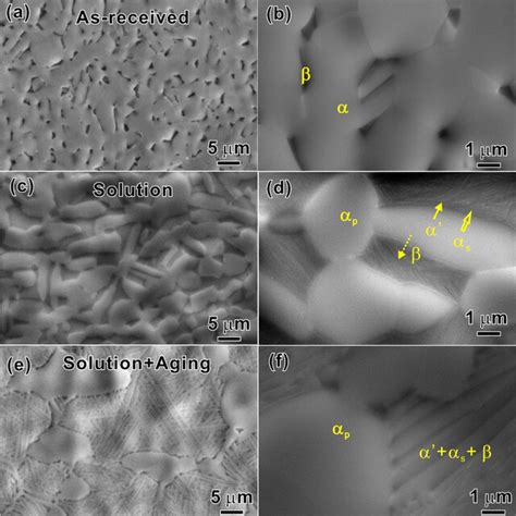 A As Received Microstructure C Nearly Equiaxed And Elongated αp