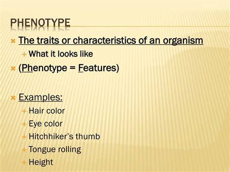 PPT - Genotype vs. Phenotype PowerPoint Presentation, free download ...