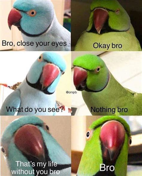 Love you, bro! : r/wholesomememes