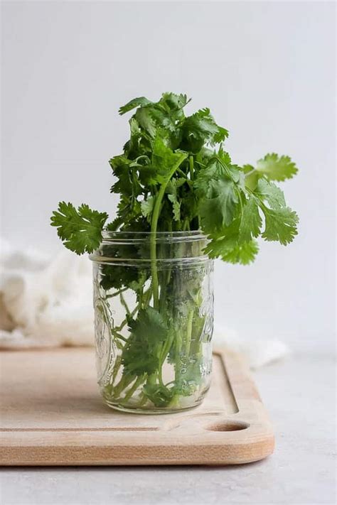 How To Chop Cilantro Step By Step Tutorial Feel Good Foodie