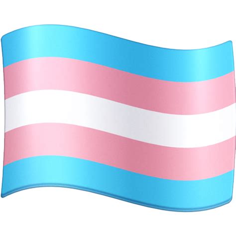 Transgender Flag Emoji 🏳️‍⚧️