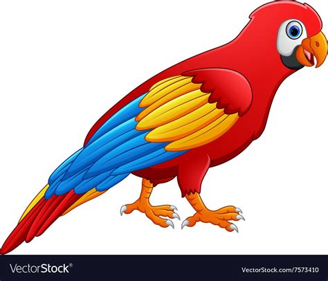 Cute Macaw Bird Cartoon Posing Royalty Free Vector Image