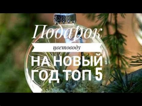 Что подарить цветоводу?! - YouTube