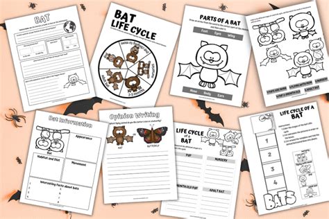 Free Bat Life Cycle Worksheet For Kids