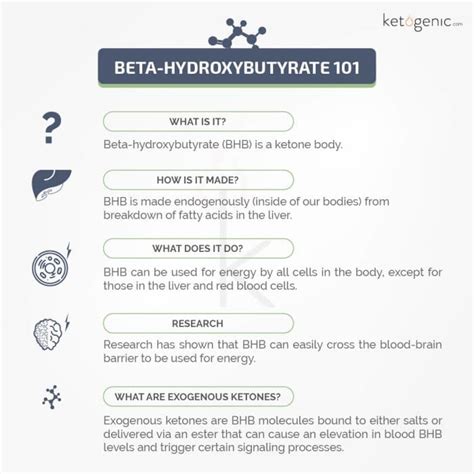 What Is Beta Hydroxybutyrate BHB Keto Science