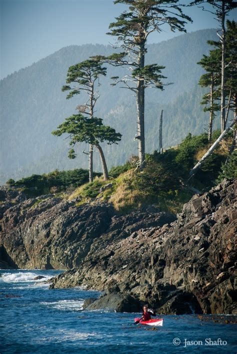 Kayaking Haida Gwaii — Atlas Ocean Tours In Haida Gwaii