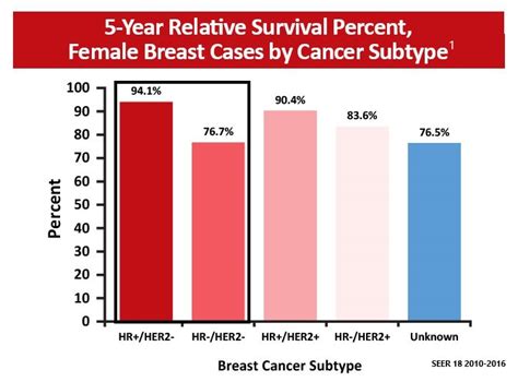 HER2 Negative Breast Cancer Epidemiology Oncology Nurses Quality