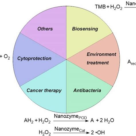 Recent applications of nanozymes and proposed mechanisms (a: substrate ...