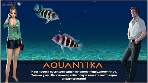 Игра аквантика - 3Д Аквариум вконтакте - YouTube