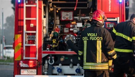 Il Maltempo Devasta Belluno Con Alberi Caduti E Fango Dopo Gli