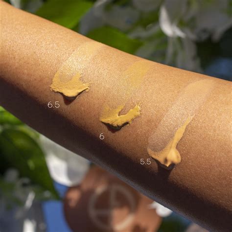 Giorgio Armani Neo Nude Collection Review On Brown Combination Skin Sifa S Corner