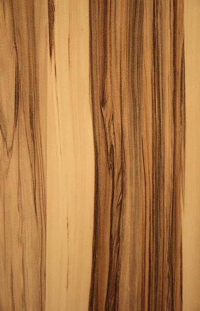 sandal wood texture stock  pictures royalty  images istock