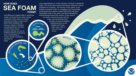 What Is Sea Foam Made Of Atlantic Hurricane Season Noaa Predicts