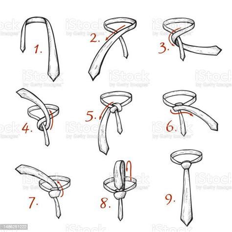 Tying Tie Knot Diy Instruction Infographic Steps Picture Arrows Line Engraved Vector