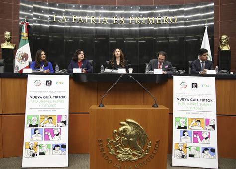 Senado Presenta Gu A De Tik Tok Para Madres Padres Y Tutores Mujer