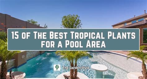 15 of The Best Tropical Plants for a Pool Area - The Garden Style