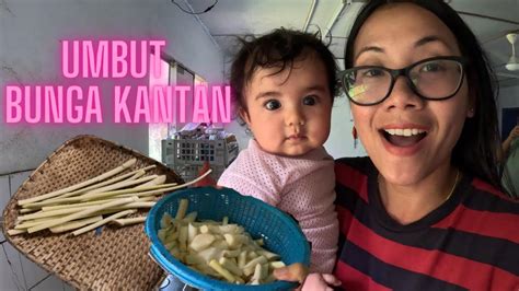 Umbut Bunga Kantan Masak Belacan Youtube