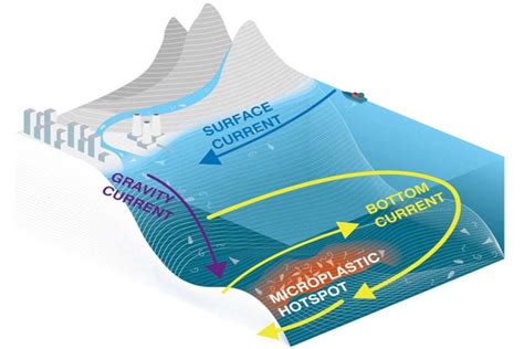 Seafloor Microplastic Hotspots Controlled By Deep Sea Currents