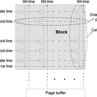 NAND flash memory structure. | Download Scientific Diagram