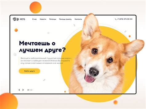 Приют собак лэндинг | Web design, Graphic design resume, Website banner ...