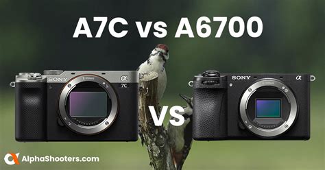 Sony A7C Vs A6700 Key Spec Feature Comparison Alpha Shooters