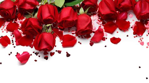 Desktop Wallpapers Valentines Day Red Rose Petals Flower 3840x2160