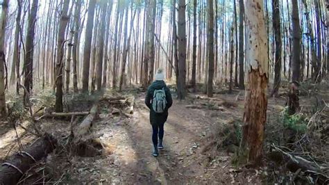 Patuxent River State Park Immersive Magical Forest Experience 🌲