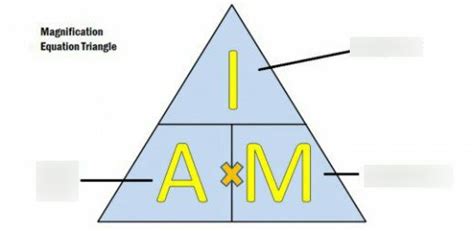 Biology - magnification triangle Diagram | Quizlet