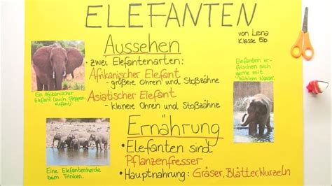 Ein Plakat gestalten erklärt inkl. Übungen