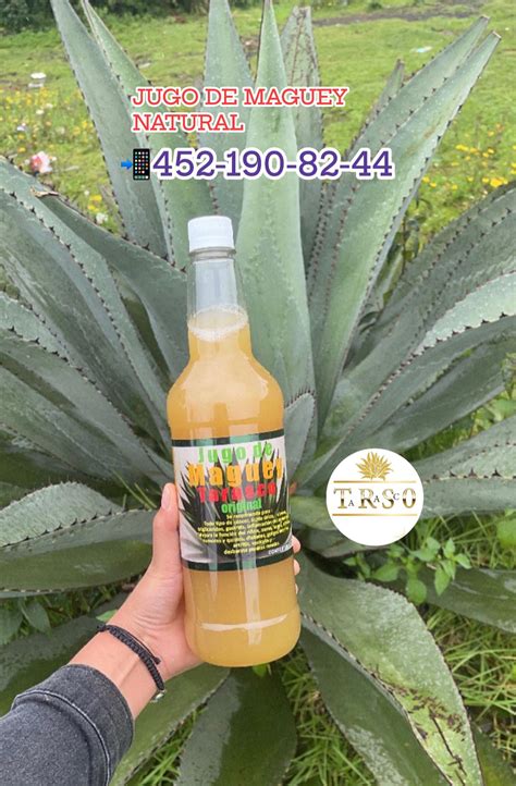 JUGO DE MAGUEY TARASCO Tu ya... - Jugo De Maguey Tarasco