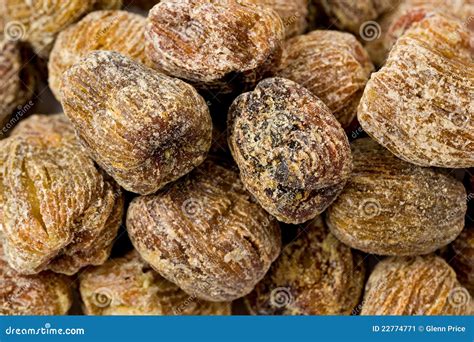 Chinese Dried Dates stock image. Image of texture, chinese - 22774771