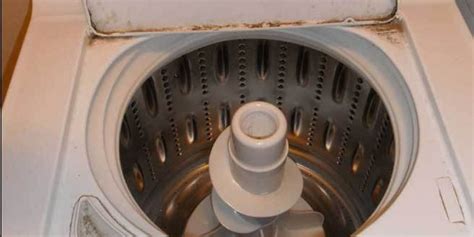 Naked Man Gets Stuck In Washing Machine In Australia Newstalk