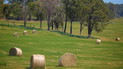 Ferguson Valley in Western Australia - Tours and Activities | Expedia.ca