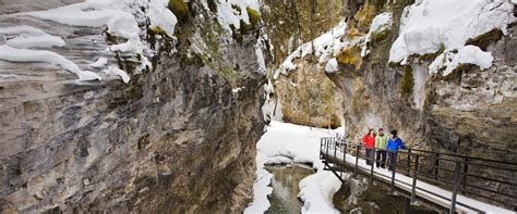 Johnston Canyon Icewalk® Discover Banff Tours