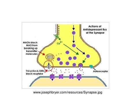 Sedatives Hypnotics Affective And Antipsychotic Medications For Odl