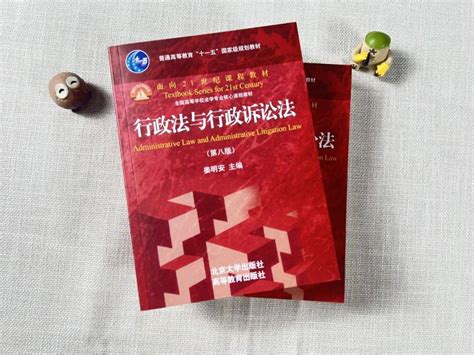 为行政法新添两翼——数字行政法与应急行政法 技术 应用 行政诉讼法