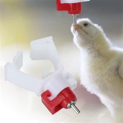 Buveur de poulet 20Pcs Abreuvoir Automatique à Volaille Mamelon à Boire