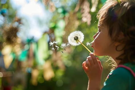 Planifier une fête danniversaire sur le thème du développement durable