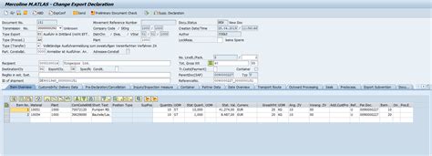 Managing Atlas Customs Processes Directly In Sap Mercoline