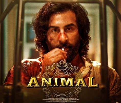 Blockbuster Animal OTT release and streaming details - TrackTollywood