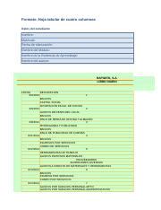 CF EA5 Formato RJDI 3 Xlsx Formato Hoja Tabular De Cuatro Columnas