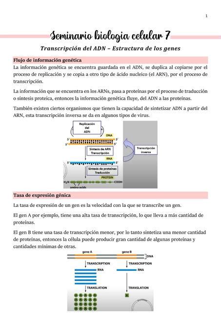 BIOLOGÍA CELULAR uDocz