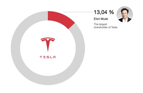 Who Owns Tesla? Shareholders and Milestones | Infographic