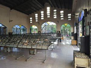 National Shrine Of Our Mother Of Perpetual Help Southern Luzon