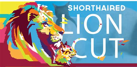 short haired lion cut