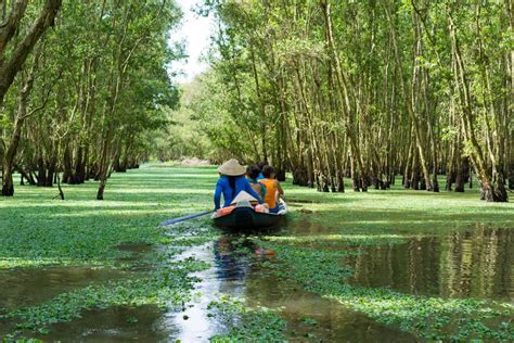 The 5 Best National Parks In The Mekong Delta